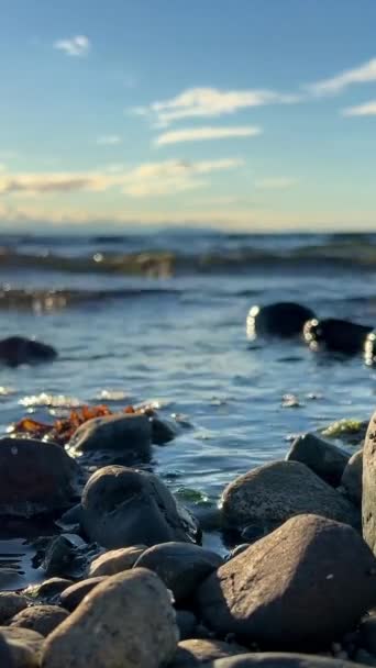 Zon Gaat Onder Boven Het Stenen Strand Reflecties Van Zon — Stockvideo