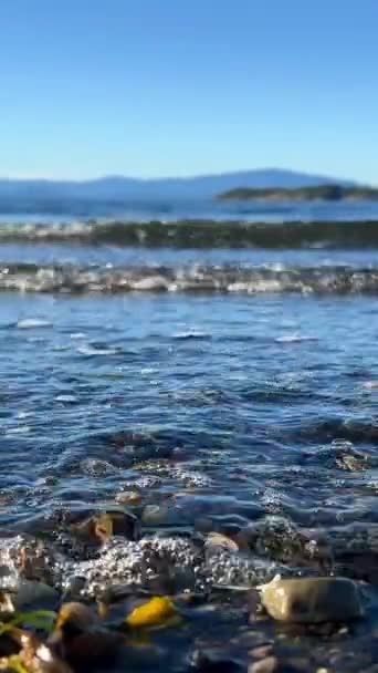 ชายหาดวอลล ชายหาดมหาสม ทรแปซ Nanoose บนเกาะแวนค เวอร การผสมผสานท สวยงามมากของธรรมชาต ในด านขวาต — วีดีโอสต็อก