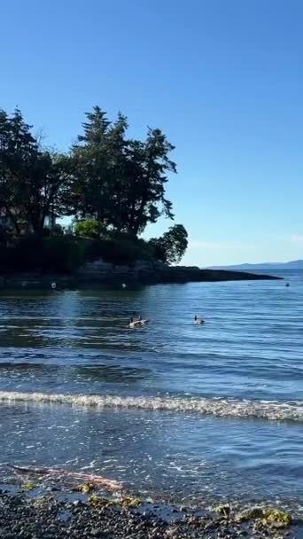 Wall Beach Nanoose Pacific Ocean Beach Vancouver Island Very Beautiful — Stock Video