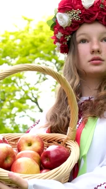 Bela Menina Ucraniana Uma Grinalda Vermelha Com Cesta Maçãs Colhendo — Vídeo de Stock
