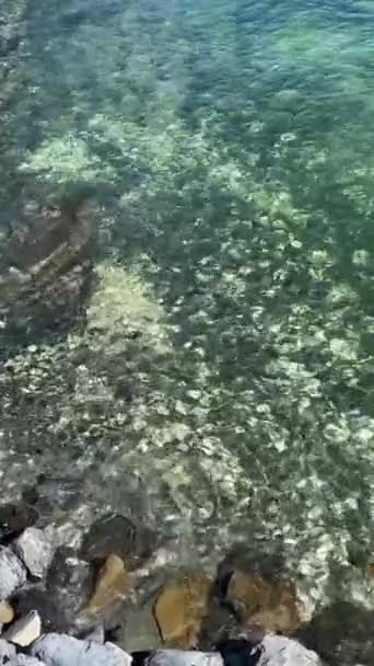Zielona Woda Skały Widoczne Przystanku Promowym Który Będzie Płynąć Wyspy — Wideo stockowe
