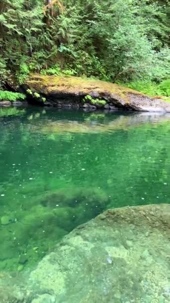 Beautiful Englishman River Waterfalls Upper Section Parksville British Columbia Canada — Stockvideo