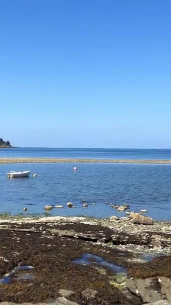 Low Tides Pacific Ocean Vancouver Island Canada Visible Fellow Countrymen — Stock Video