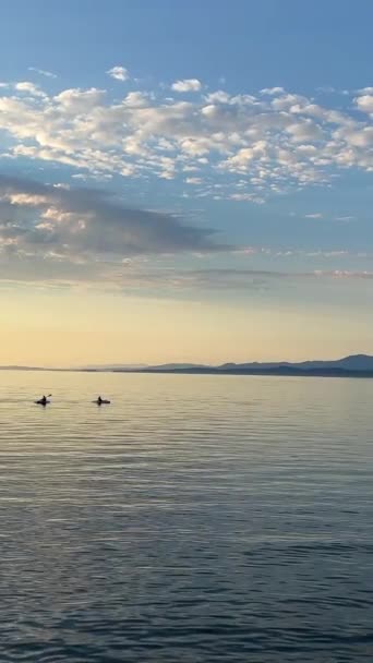 자연의 여름이나 바다의 배경을 숨막히게 황금빛 파도는 라이트와 흐릿하게 레크리에이션 — 비디오