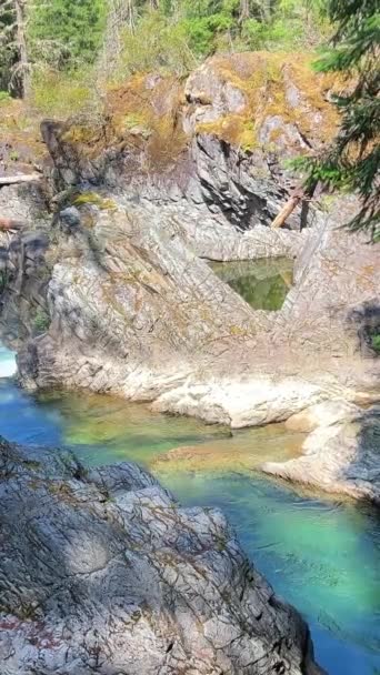 Kwalikum第一民族传统领地小质量瀑布省级公园清洁冷水瀑布和森林河 — 图库视频影像