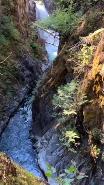 Traditionellt Territorium Kwalikum First Nation Little Qualicum Falls Provincial Park — Stockvideo