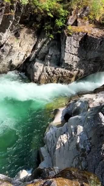 Kwalikum第一民族传统领地小质量瀑布省级公园清洁冷水瀑布和森林河 — 图库视频影像