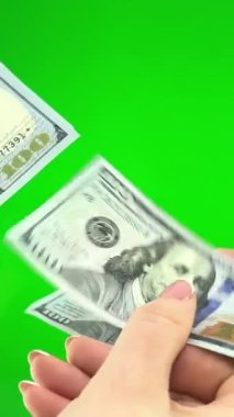 makro ABD para birimi sayılıyor. Adam para sayıyor. Yeni dolarlar hazır. Yüksek kalite 4k görüntü