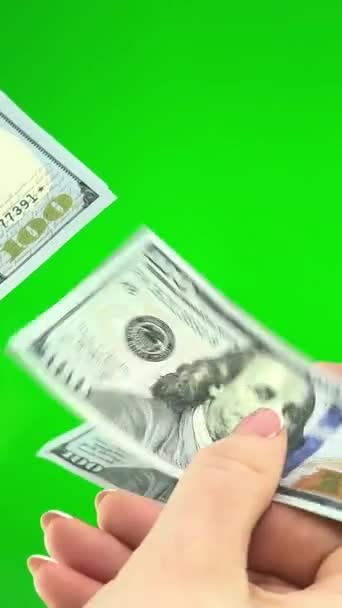 Makro Zählen Der Währung Der Mensch Zählt Geld Neue Dollars — Stockvideo