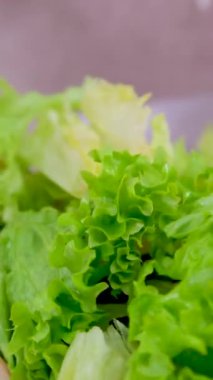 Şef sebzeli taze salata, sağlıklı yemek, Akdeniz mutfağı vejetaryen diyeti hazırlıyor. Ağır çekim. Yakından Tazelik Salatası. Sağlıklı Renkli Yemek Soğan Salatalık Biber Domates Turpu