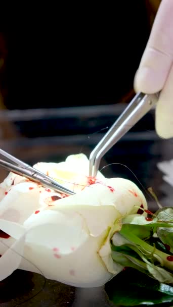 Біла Троянда Штучним Скальпелем Крові Хірургічними Інструментами Різання Операції Швів — стокове відео