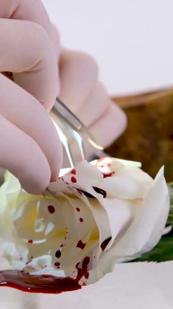 Bílá Růže Umělým Krevním Skalpelem Chirurgické Nástroje Pro Řezání Operace — Stock video