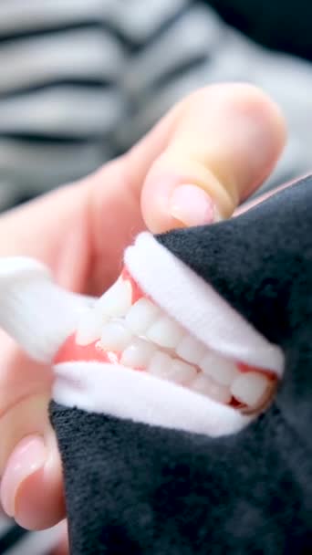 Jak Vyčistit Zuby Správně Close Obrovské Zuby Hračka Zvířecí Ruce — Stock video