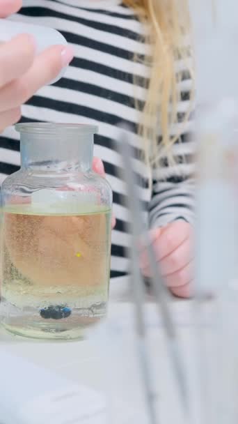 儿童化验室为仙女化验室助理制作的续集 从一个小管子里取出雪花加入一个装有特殊液体的瓶子 — 图库视频影像