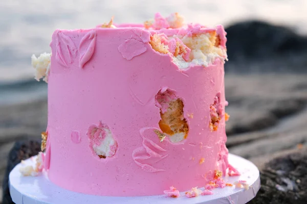 为了庆祝大自然 老鼠在海边的石头上咬着粉红的蛋糕 孩子们用手指啄食着美味的甜点 — 图库照片