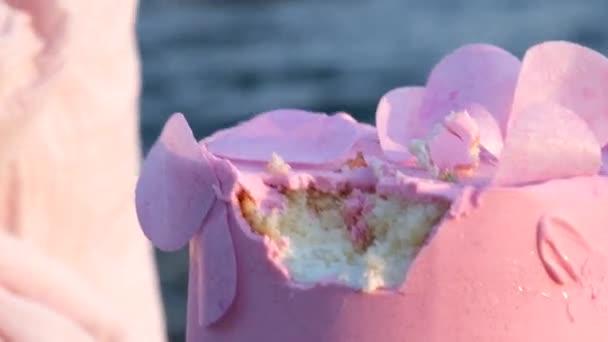自然の中で祝うために海や海の石の上にピンクのケーキを噛んだマウスは子供たちが指で摘んだおいしいデザートを食べました — ストック動画