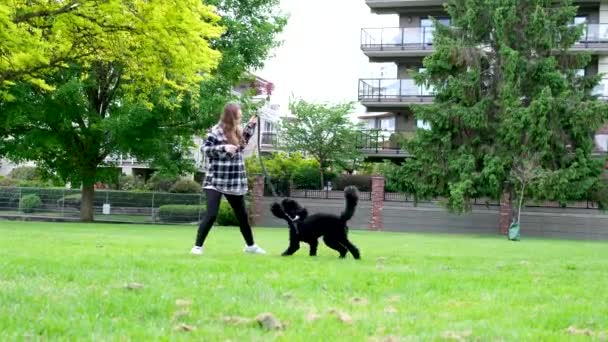 Jong Tiener Meisje Spelen Met Een Zwarte Speelse Hond Hond — Stockvideo