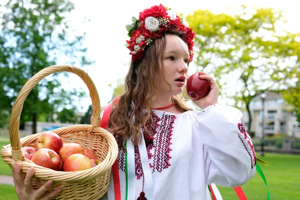 秋天的收获女孩看着远方 手里拿着一大篮苹果 带有彩带和红色花朵的美味水果 乌克兰人的民族服装 维希万卡花环 自然季节种植苹果 — 图库照片