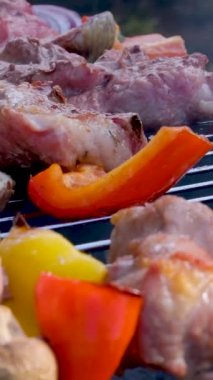 Izgara tabakta ızgara sosis ve sebze, açık havada. Izgara yemek, bbq, yüksek kalite 4K görüntü.