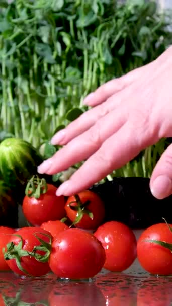 女人用微量蔬菜和蔬菜准备新鲜的生蔬菜沙拉 女人的手在葵花豆 西红柿和黄辣椒的芽上辗过 — 图库视频影像