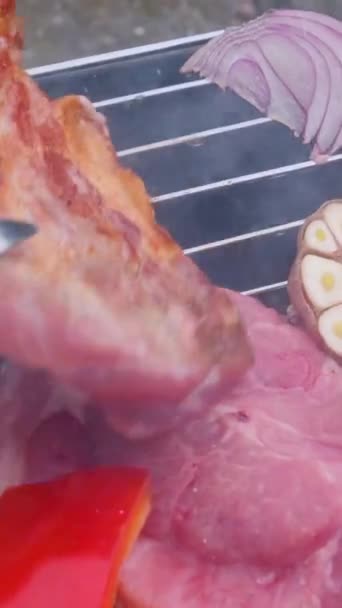 手握烤猪肉烤肉或烧烤在游客和泰国人中很受欢迎 这家商店在泰国随处可见 高质量的4K镜头 — 图库视频影像