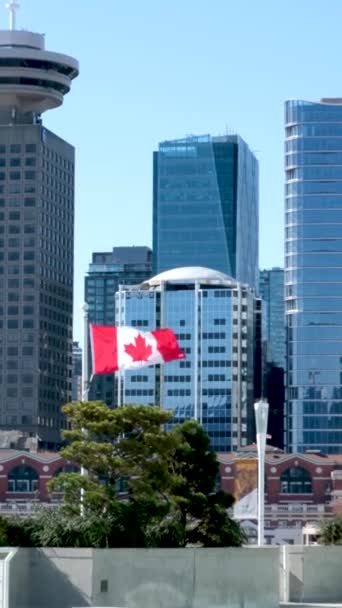 Kanada Meydanı Vancouver Limanı Rıhtımındaki Ticari Binalar Gemilerin Geldiği Insanlar — Stok video