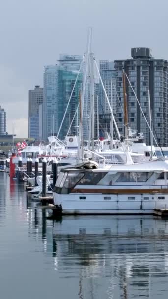 Stanley Park Vancouver Canadá 2023 Rascacielos Costosos Yates Vida Marina — Vídeos de Stock