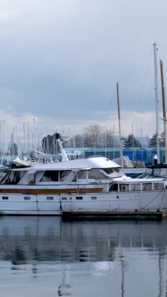 4K美しい港 マリーナ 避難所 セーリングボート ヨット 木公園家ドック穏やかな晴れた日 高品質4K映像 — ストック動画