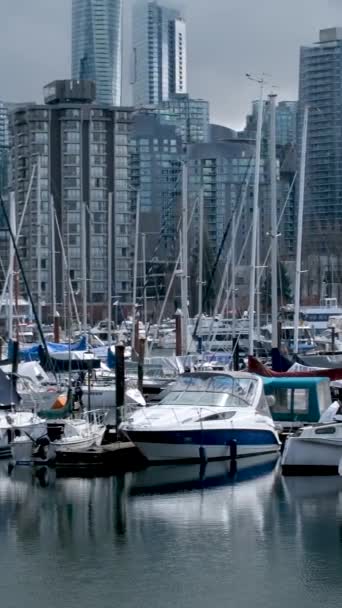 Stanley Park Vancouver Canadá 2023 Rascacielos Costosos Yates Vida Marina — Vídeos de Stock