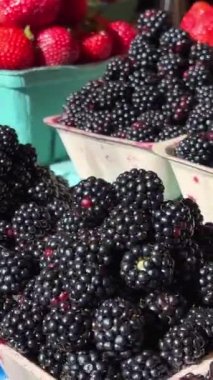 Çilek ahududu ve böğürtlen konteynırlarda pazarda.