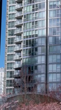 David Lam Park Yaletown baharı Pasifik Okyanusu İskelesi bisikletçileri açık gökyüzü kiraz çiçekleri ve manolya ağaçları güneşli hafta sonları dinlenir.