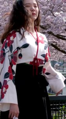 Gezgin kız yürür güzel doğulu kız başını sallar arka plandaki kiraz çiçeklerine doğru saçlarını uzatır Kanada Vancouver demir köprüsü sakura çiçek bahçesi