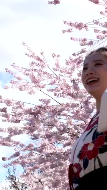 Красивая Азиатская Женщина Смеется Бросая Свои Волосы Фоне Вишни Цветет — стоковое видео