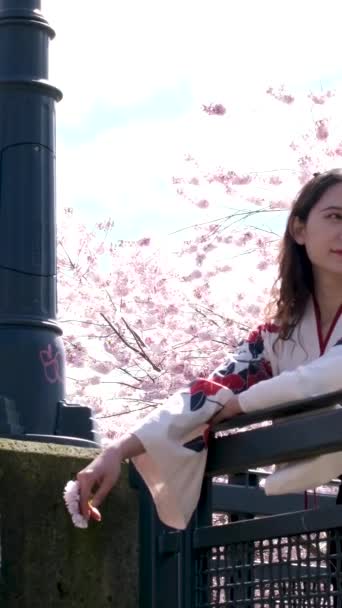 Fille Chemise Brodée Style Chinois Japonais Dresse Sur Fond Fleurs — Video