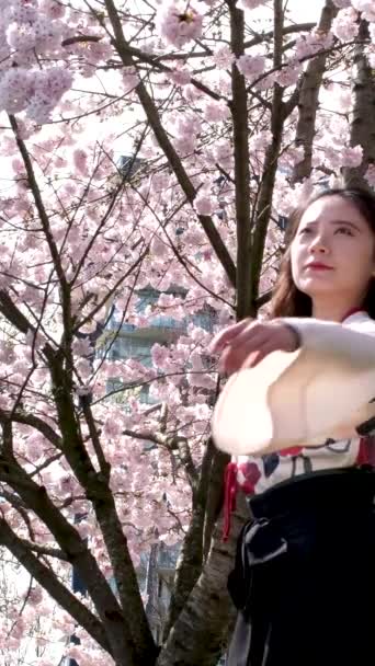悲しいアジアの女の子が橋の上の桜の近くに立って波を見て花びらの残りの旅を振りかける美しさの春 花の木の近くの女の子を想像してください 高品質4K映像 — ストック動画