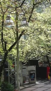 İlkbahar gökyüzü tren istasyonları Burrard İstasyonu kiraz çiçeklerinin ardından mavi gökyüzünde açan ağaçlara karşı Vancouver Canada 2023