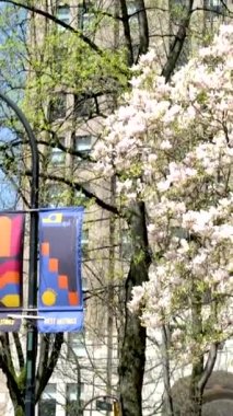 Burrard İstasyonu 'ndaki gökdelenler trafikte yürüyen insanlar gerçek turistler iş adamları basit işadamları herkes Vancouver şehrinde yaşıyor Kanada 2023