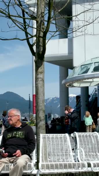 Canada Place Vancouver Canada 2023 Personas Reales Caminando Calles Rascacielos — Vídeos de Stock