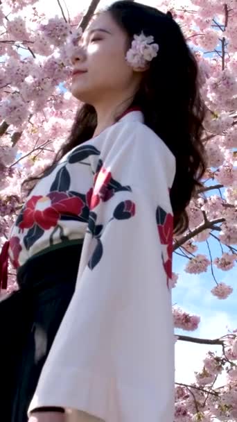 デビッド パーク ヤリタウンの春の美しいアジアの若い女の子桜の背景に晴れた日のカモメフライ残りの週末は家族の時間を過ごす — ストック動画