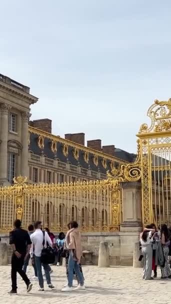 Porta Dorata Della Famosa Reggia Versailles Francia Filmati Alta Qualità — Video Stock