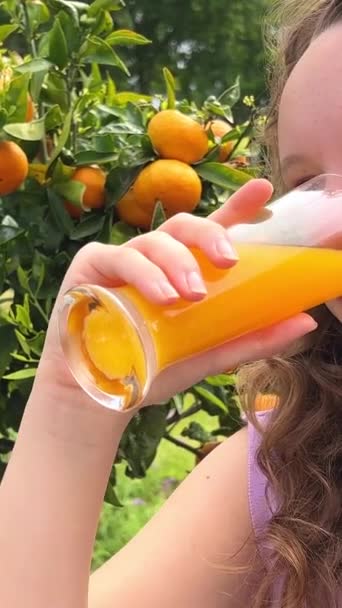 Chica Bebe Jugo Naranja Sobre Fondo Árbol Mandarina Puede Ser — Vídeo de stock