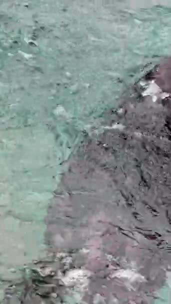 Sea Otter Animal Agita Vigorosamente Cabeça Pulverizando Gotas Lava Barriga — Vídeo de Stock