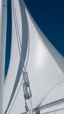 Vancouver, BC, Kanada. Vancouver BC 'de Kanada' nın 4k çözünürlüklü bir yan görüntüsü. Yüksek kalite 4k görüntü