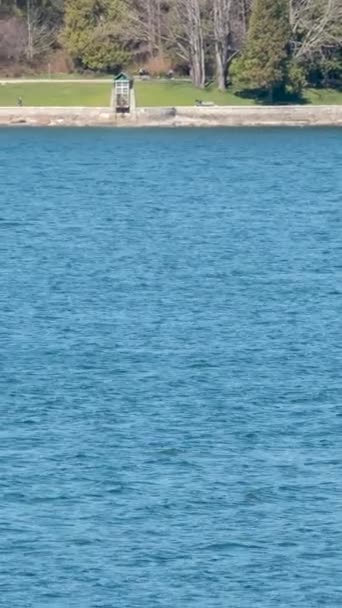 飞机降落在水面上 并在其上通过了相机 — 图库视频影像