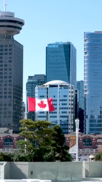 Canada Place Forretningsbygg Vancouver Havn Brygge Der Skip Ankommer Folk – stockvideo