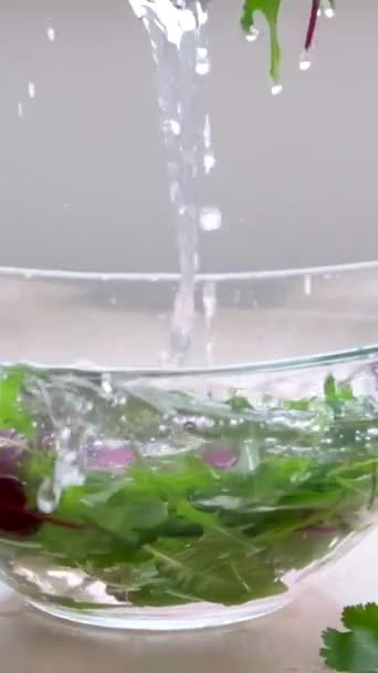Zeitlupenaufnahme Fliegender Schnitte Von Buntem Gemüse Und Wassertropfen Super Zeitlupenaufnahme — Stockvideo