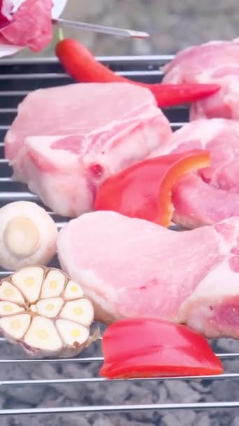 Türk Mutfağının Önemli Yemeği Mantarlı Şiş Kebap Vişneli Domates Tatlı — Stok video