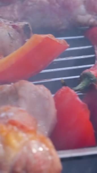 Barbekü Izgarasında Izgara Şiş Kebap Sulu Kebabını Dumanlı Şişte Hazırlıyorum — Stok video