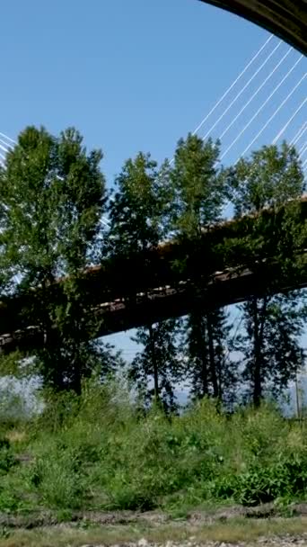 Fraser Nehri Üzerindeki Port Mann Köprüsü Sunny Summer Surrey Vancouver — Stok video