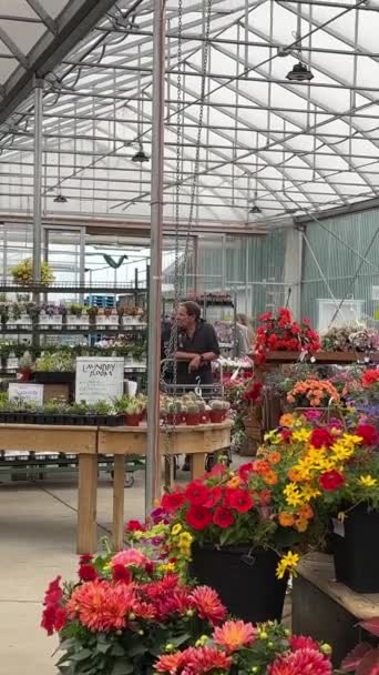 Boutique Fleurs Plantes Plantules Grand Magasin Pour Acheter Différentes Fleurs — Video